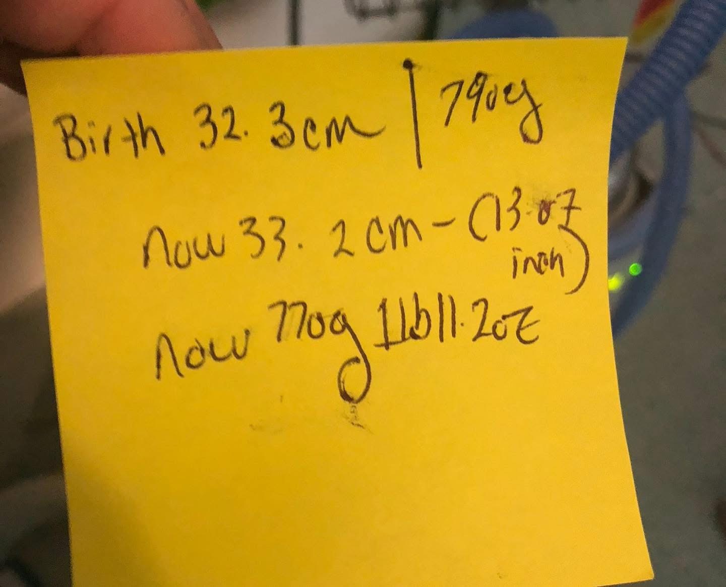 Handwritten NICU note recording Maurice's birth measurements